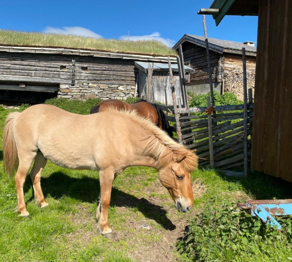 Pa Idyllisk Seter Holiday home