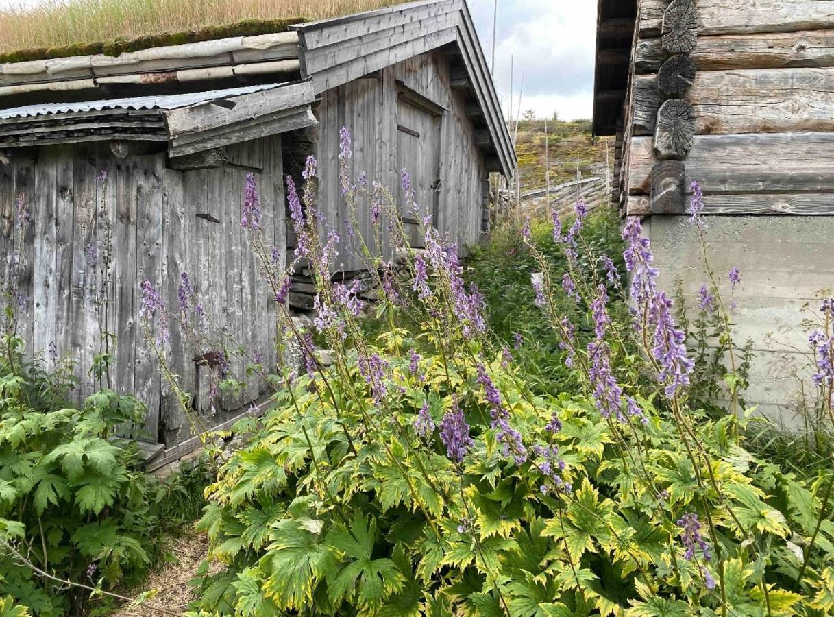 Pa Idyllisk Seter Holiday home Forset