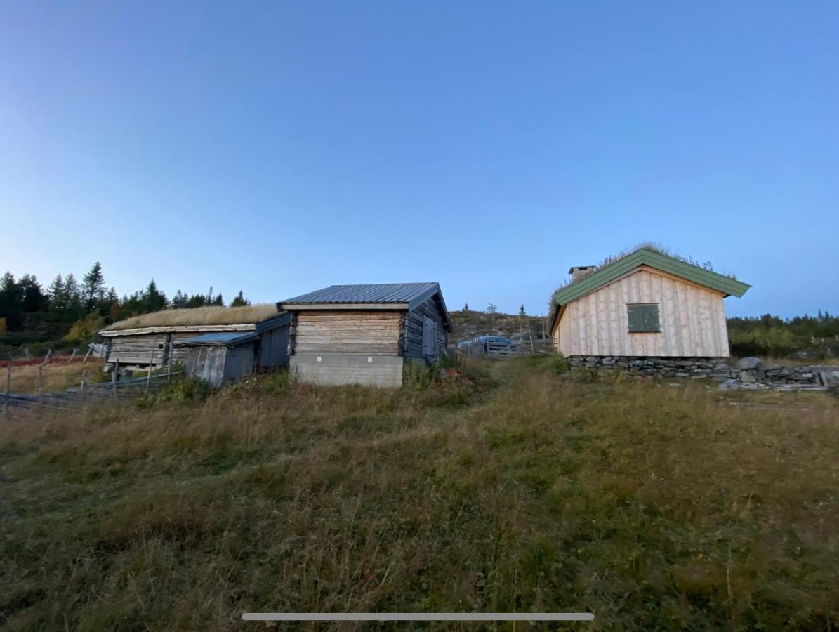 Pa Idyllisk Seter * Forset