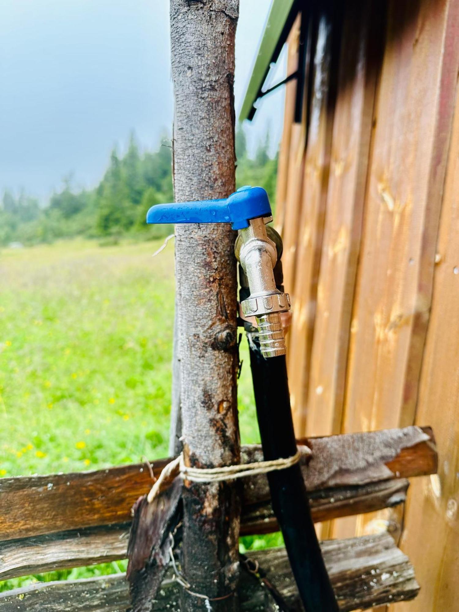 Pa Idyllisk Seter * Forset