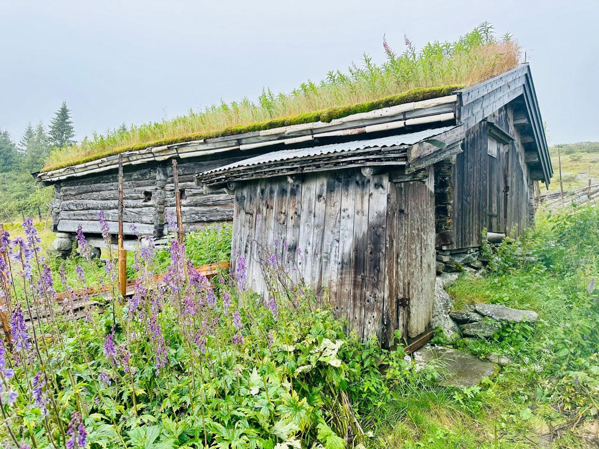 Pa Idyllisk Seter Forset